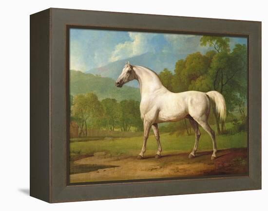 "Mambrino", C.1790-George Stubbs-Framed Premier Image Canvas