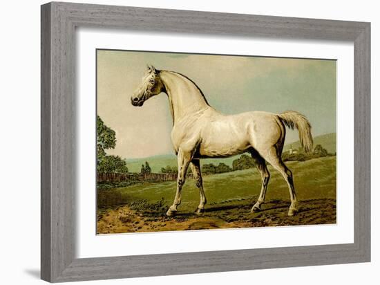 Mambrino-Samuel Sidney-Framed Art Print