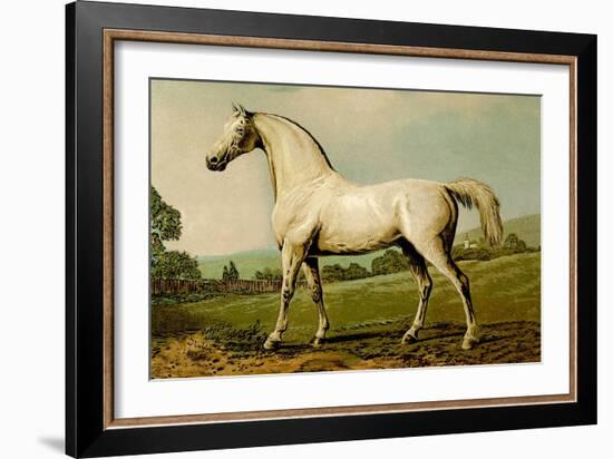 Mambrino-Samuel Sidney-Framed Art Print