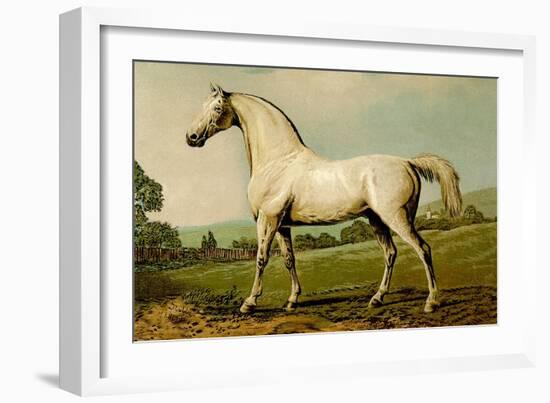 Mambrino-Samuel Sidney-Framed Art Print