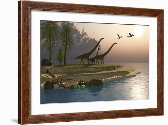 Mamenchisaurus Dinosaurs Walk to a Lake for a Morning Drink-null-Framed Art Print