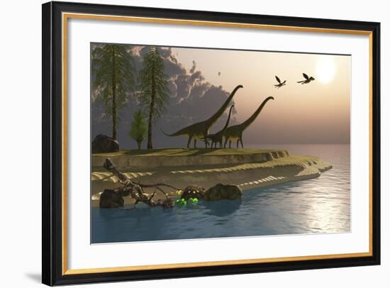 Mamenchisaurus Dinosaurs Walk to a Lake for a Morning Drink-null-Framed Art Print