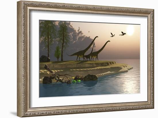 Mamenchisaurus Dinosaurs Walk to a Lake for a Morning Drink-null-Framed Art Print