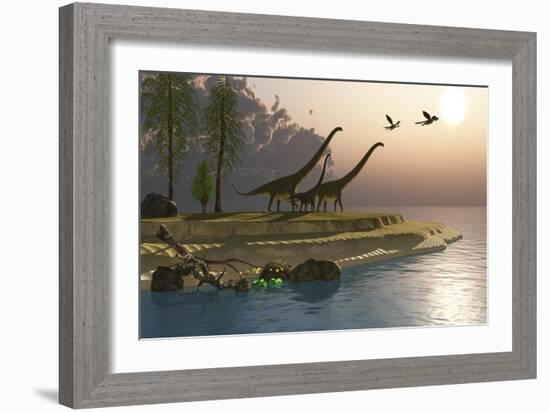 Mamenchisaurus Dinosaurs Walk to a Lake for a Morning Drink-null-Framed Art Print