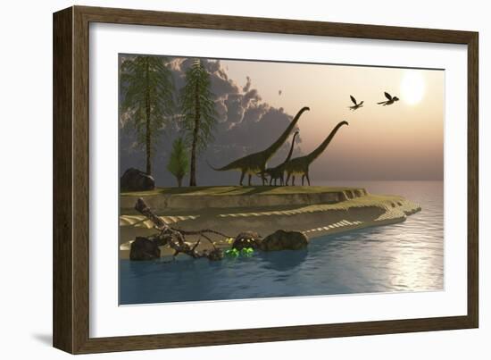 Mamenchisaurus Dinosaurs Walk to a Lake for a Morning Drink-null-Framed Art Print