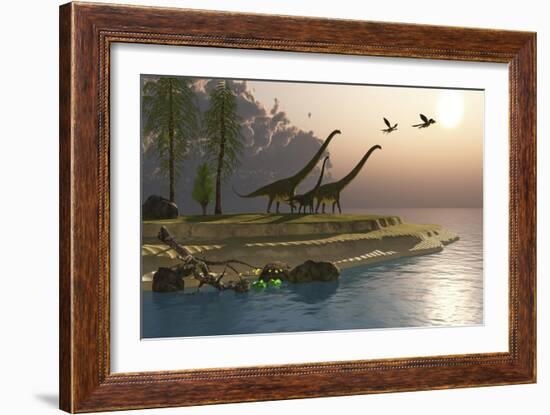 Mamenchisaurus Dinosaurs Walk to a Lake for a Morning Drink-null-Framed Art Print
