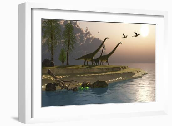 Mamenchisaurus Dinosaurs Walk to a Lake for a Morning Drink-null-Framed Art Print