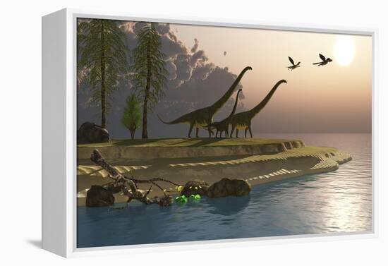 Mamenchisaurus Dinosaurs Walk to a Lake for a Morning Drink-null-Framed Stretched Canvas