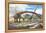 Mamenchisaurus Feeding on Brown Algae at Low Tide-null-Framed Stretched Canvas