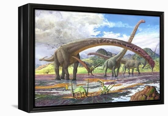 Mamenchisaurus Feeding on Brown Algae at Low Tide-null-Framed Stretched Canvas