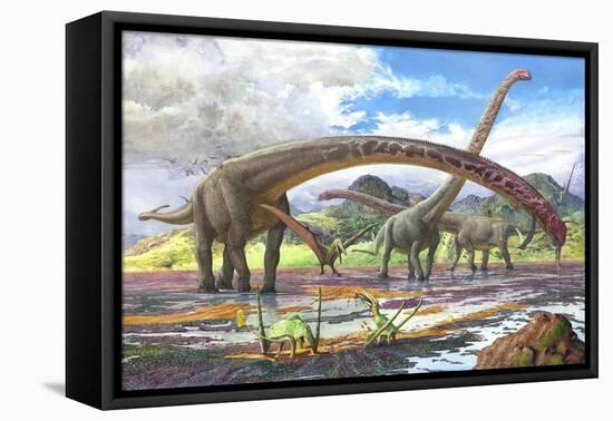Mamenchisaurus Feeding on Brown Algae at Low Tide-null-Framed Stretched Canvas