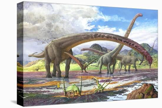 Stretched Canvas Print, , large