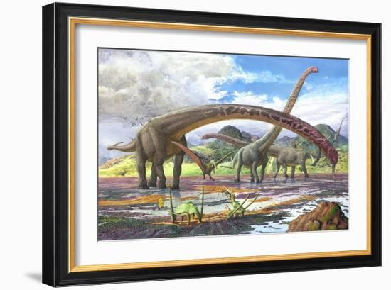 Mamenchisaurus Feeding on Brown Algae at Low Tide-null-Framed Premium Giclee Print