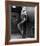 Mamie Van Doren-null-Framed Photo