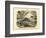 Mammals, C.1860-null-Framed Giclee Print