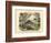 Mammals, C.1860-null-Framed Giclee Print