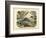 Mammals, C.1860-null-Framed Giclee Print