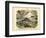 Mammals, C.1860-null-Framed Giclee Print