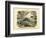 Mammals, C.1860-null-Framed Giclee Print