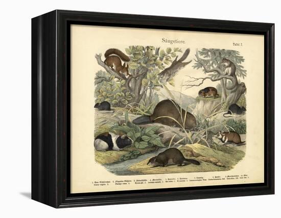 Mammals, C.1860-null-Framed Premier Image Canvas