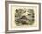 Mammals, C.1860-null-Framed Giclee Print