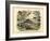 Mammals, C.1860-null-Framed Giclee Print