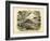 Mammals, C.1860-null-Framed Giclee Print