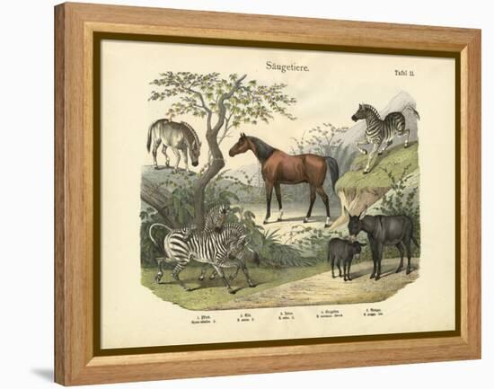 Mammals, C.1860-null-Framed Premier Image Canvas