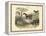 Mammals, C.1860-null-Framed Premier Image Canvas