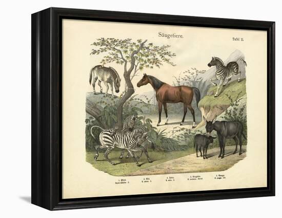 Mammals, C.1860-null-Framed Premier Image Canvas