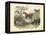 Mammals, C.1860-null-Framed Premier Image Canvas