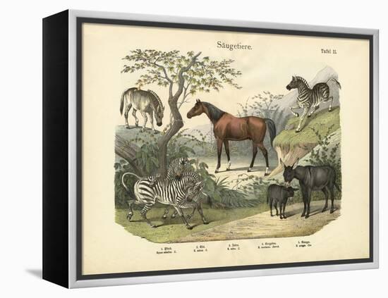 Mammals, C.1860-null-Framed Premier Image Canvas