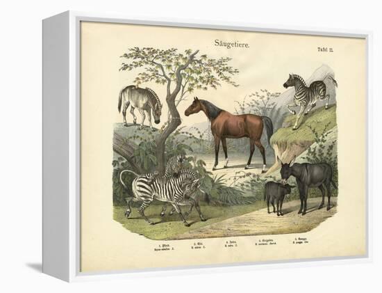Mammals, C.1860-null-Framed Premier Image Canvas