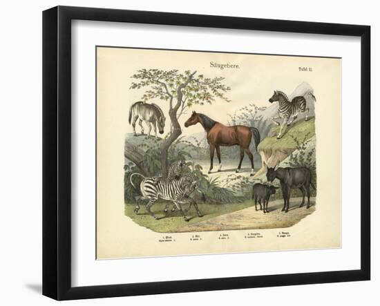 Mammals, C.1860-null-Framed Giclee Print