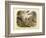 Mammals, C.1860-null-Framed Giclee Print