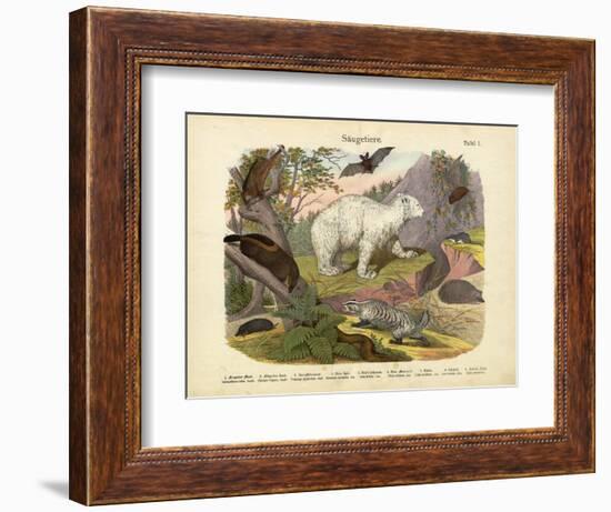 Mammals, C.1860-null-Framed Giclee Print