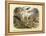 Mammals, C.1860-null-Framed Premier Image Canvas