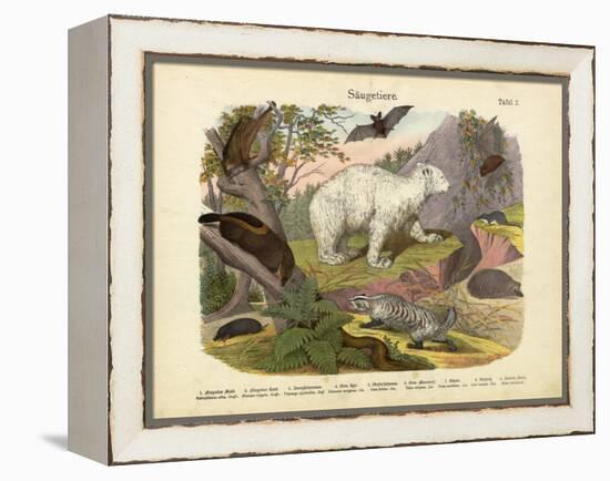 Mammals, C.1860-null-Framed Premier Image Canvas