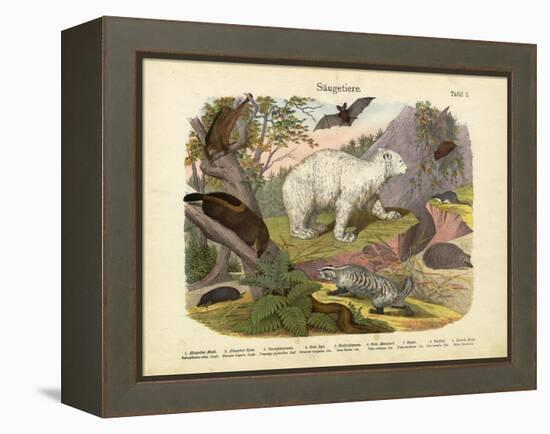 Mammals, C.1860-null-Framed Premier Image Canvas