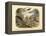 Mammals, C.1860-null-Framed Premier Image Canvas