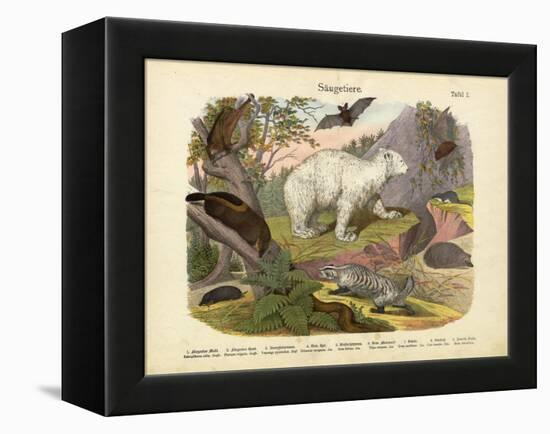 Mammals, C.1860-null-Framed Premier Image Canvas