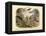 Mammals, C.1860-null-Framed Premier Image Canvas