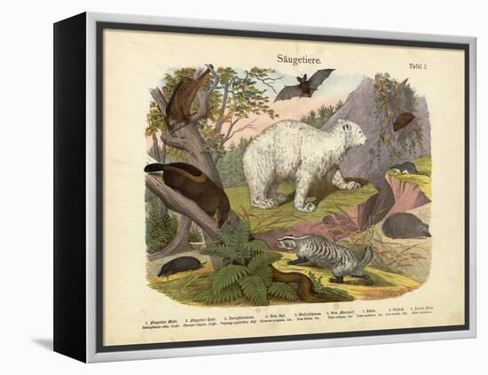 Mammals, C.1860-null-Framed Premier Image Canvas