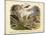 Mammals, C.1860-null-Mounted Giclee Print