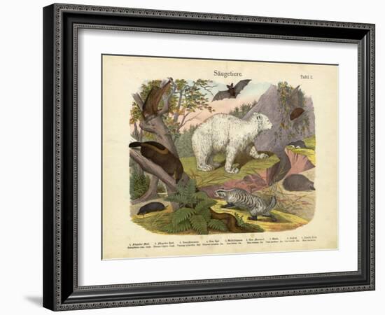 Mammals, C.1860-null-Framed Giclee Print