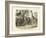 Mammals, C.1860-null-Framed Giclee Print