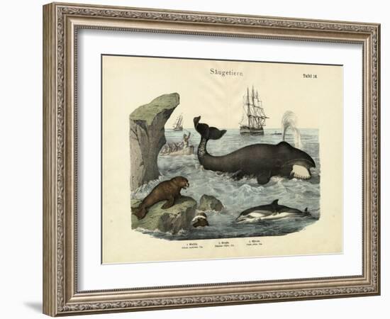 Mammals, C.1860-null-Framed Giclee Print