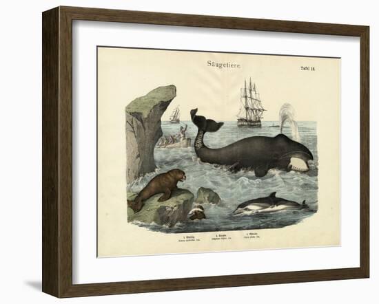 Mammals, C.1860-null-Framed Giclee Print