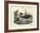 Mammals, C.1860-null-Framed Giclee Print