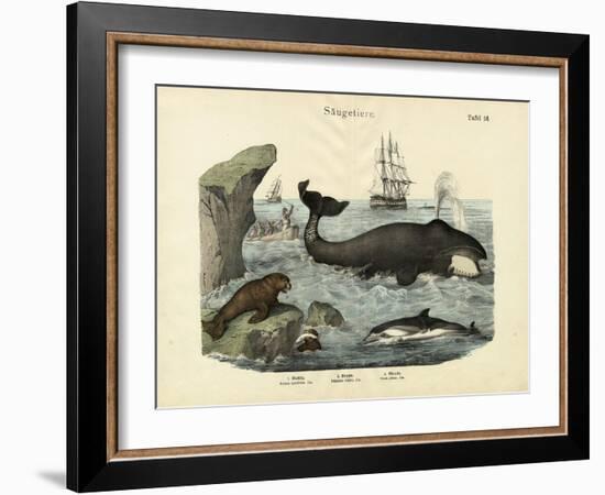 Mammals, C.1860-null-Framed Giclee Print